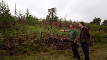 Ian showing Simon growth already occurring on the fire damaged areas